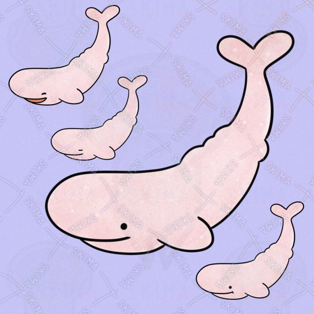 わたがしぞくせいのまっこうくじら（表情4種類）