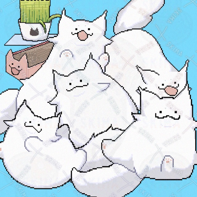 高貴なねこ　ケア用品付