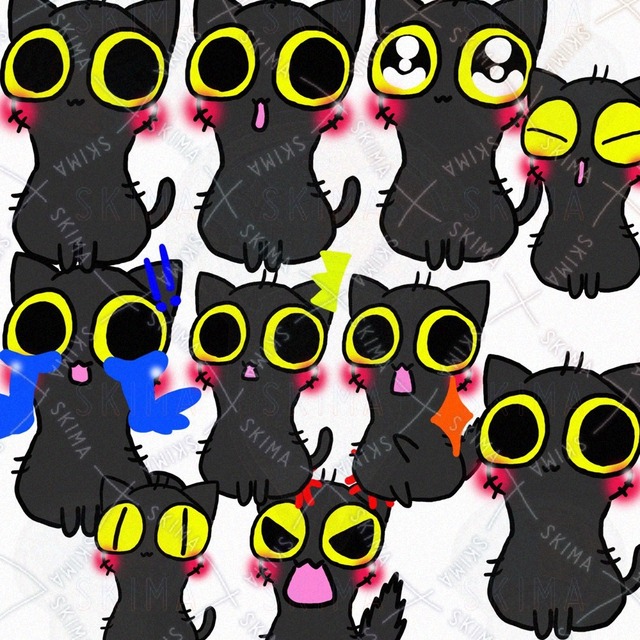 毛ボサボサのちんまい黒猫