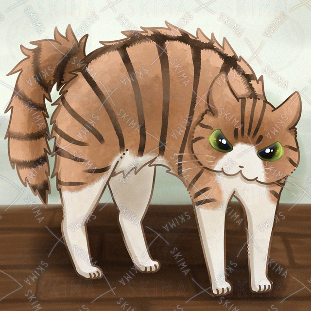 やんのか猫ちゃん