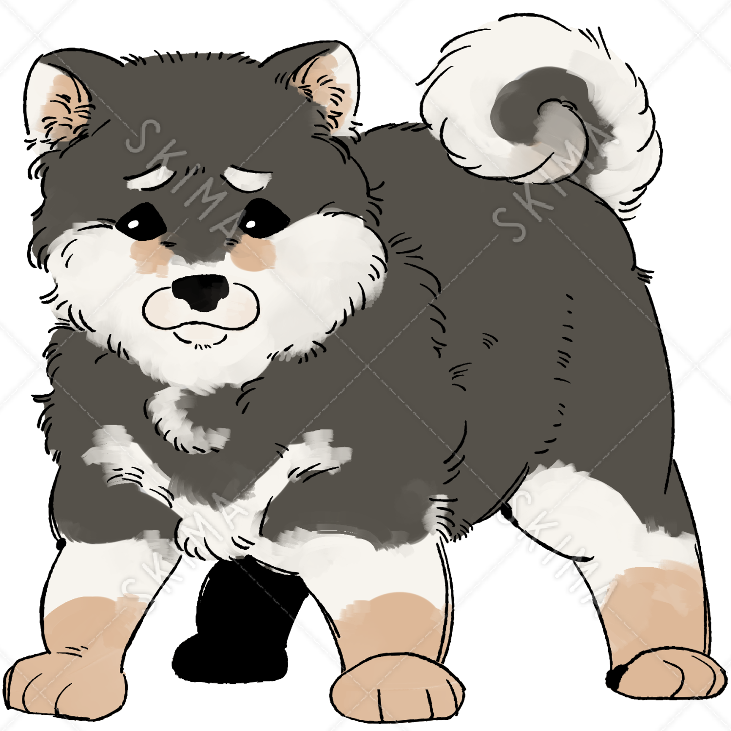 黒柴の子犬の立ち絵販売します スキマ スキルのオーダーメイドマーケット Skima
