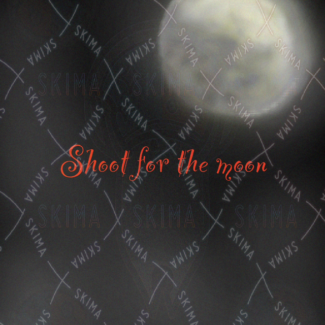 月に向かって撃て　shoot for the moon