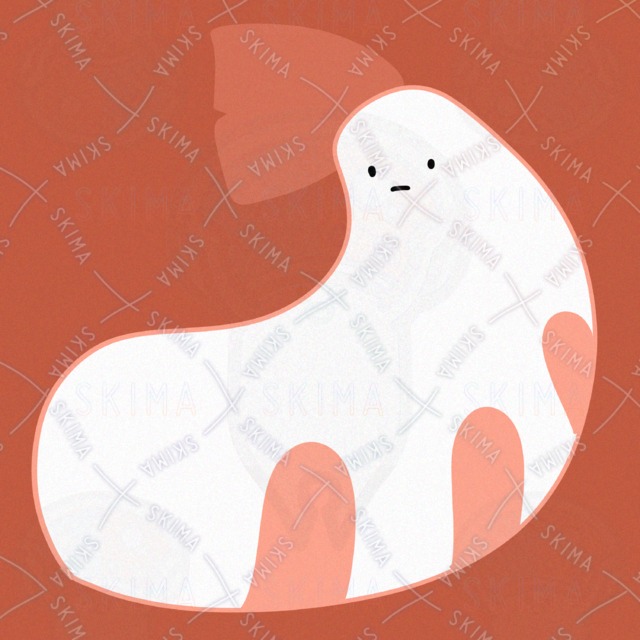 かわいいエビのアイコンイラスト