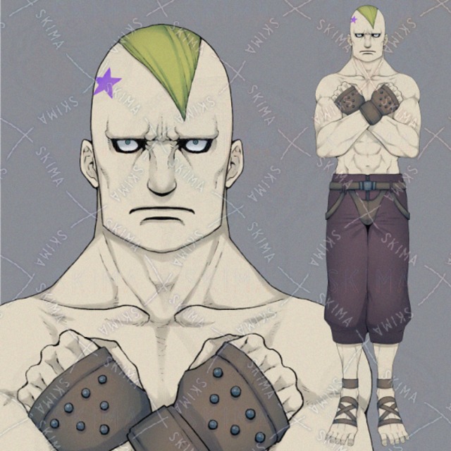 [SALE]ファイター（12/15頃まで）