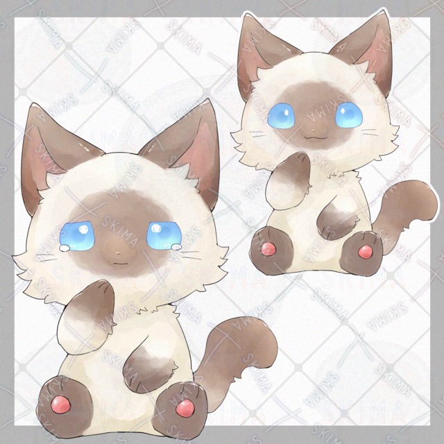 31日まで　シャム猫