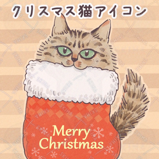 クリスマス靴下にすっぽり入った猫｜ほっこりクリスマスアイコン