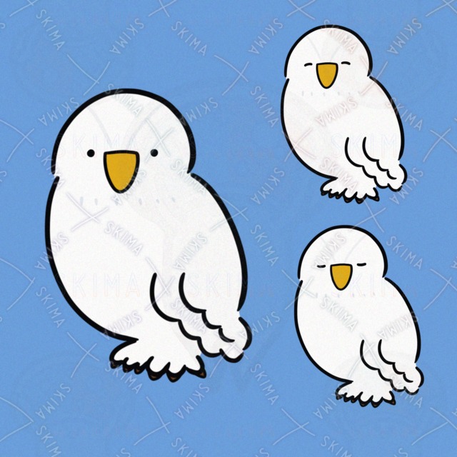 まっしろなふくろう（表情3種類）