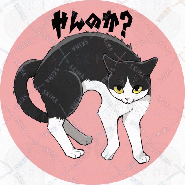 SNSアイコン　猫