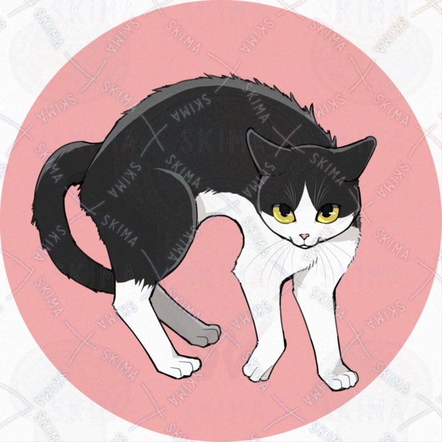 SNSアイコン　猫