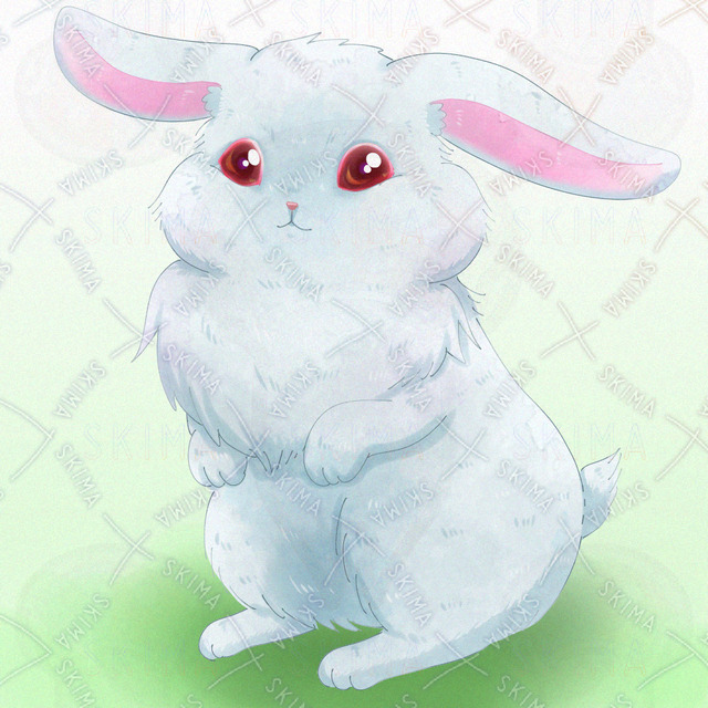 アルビノうさぎ