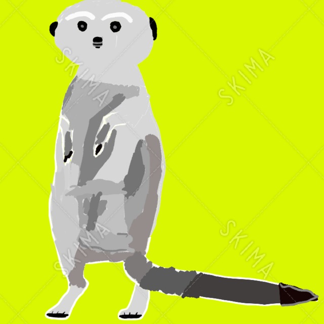 ミーアキャット