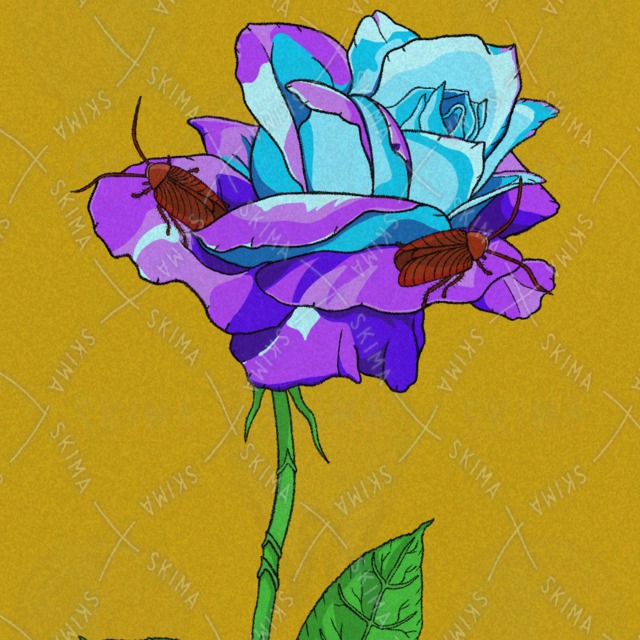 普通のことの商品画像