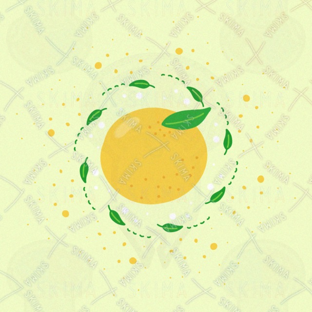 ゆずのイラスト