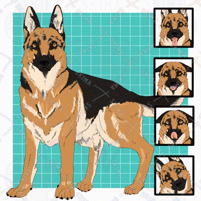 Image of Dog (German Shepherd) [4 expressions