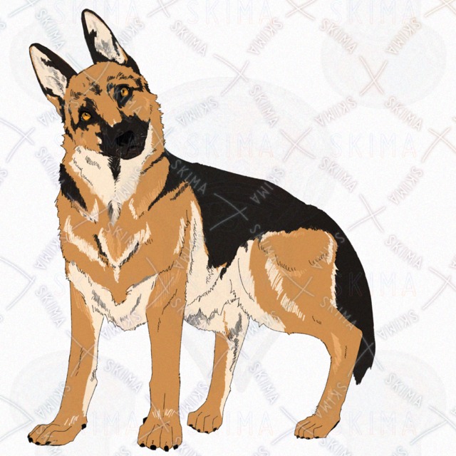 犬(ジャーマンシェパード)【表情4種】の商品画像6枚目