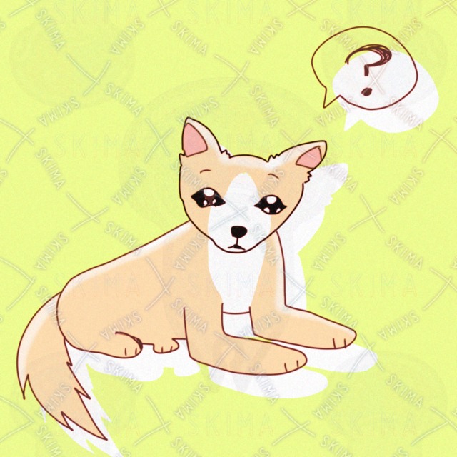 Image of Inu🐕.
