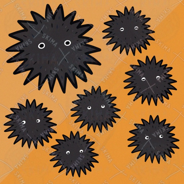 Image of Thorny sea urchin (7 types of eye difference)