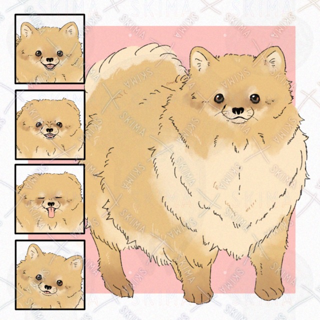 개(포메라니안) 【4가지 표정】【표정 4종류 상품 이미지