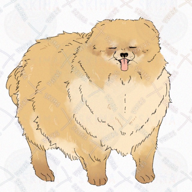 犬(ポメラニアン)【表情4種】の商品画像5枚目