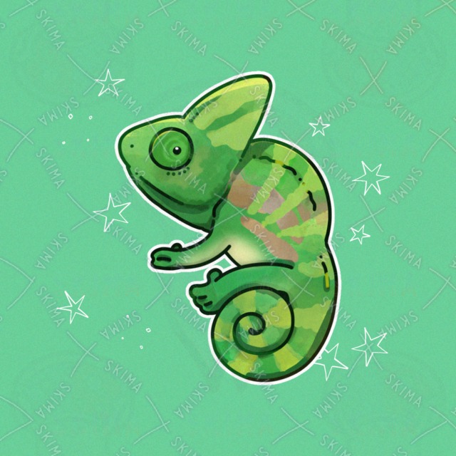 Evoshii chameleon (Chamaecyparis obtusa) 的商品圖片