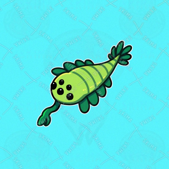 opavinia 的商品圖片