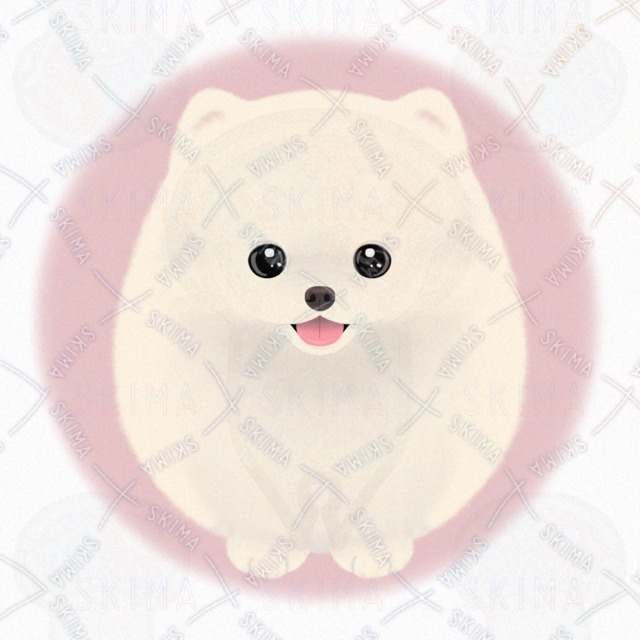 포메라니안 상품 이미지