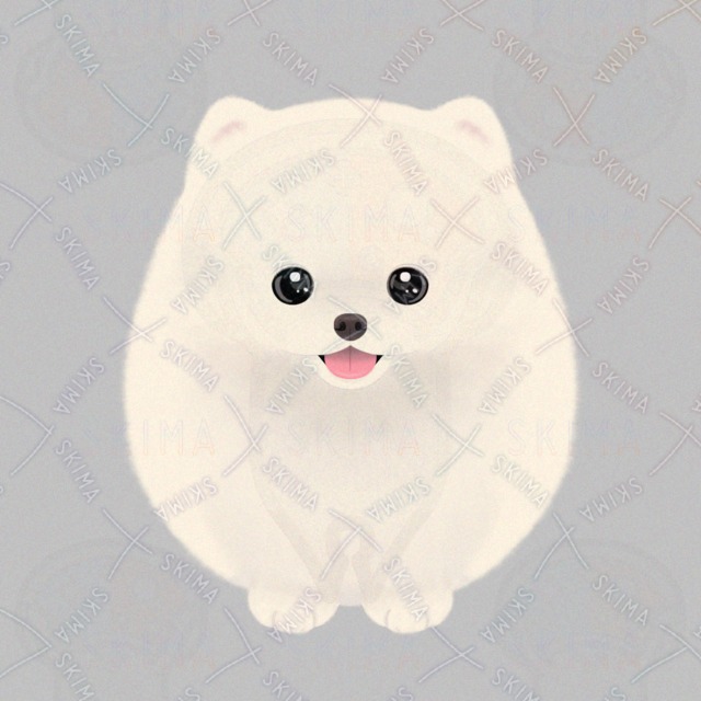 포메라니안 상품 이미지 2번째