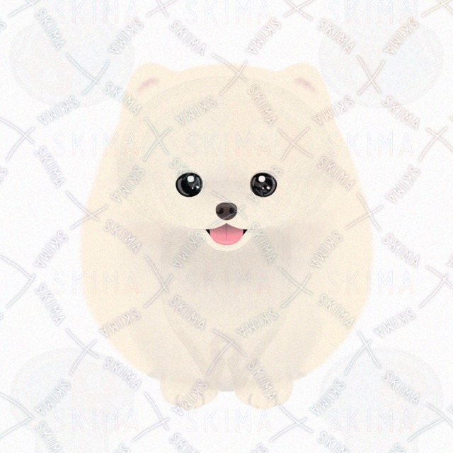 포메라니안 상품 이미지 3번째