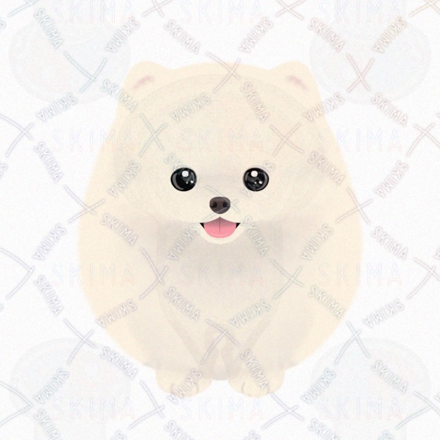 포메라니안 상품 이미지 4번째