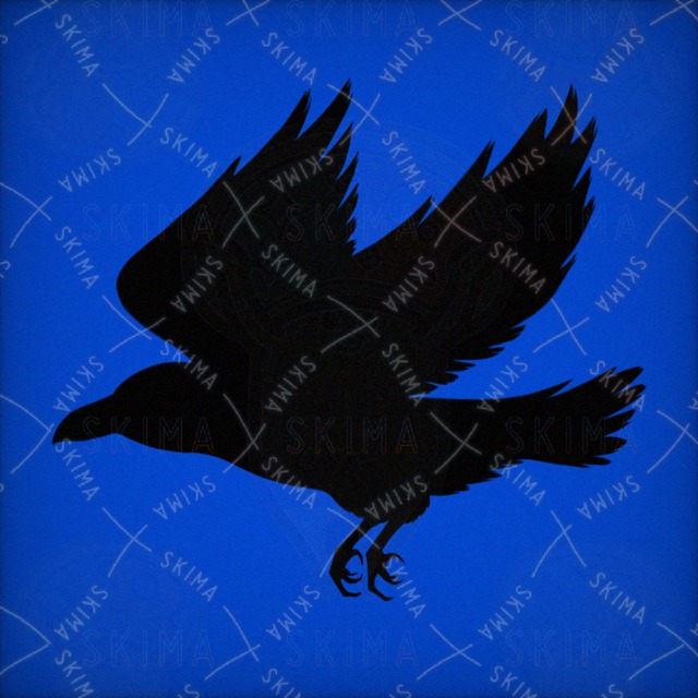 Image 2 of Raven (shadow) [icon] (in Japanese)