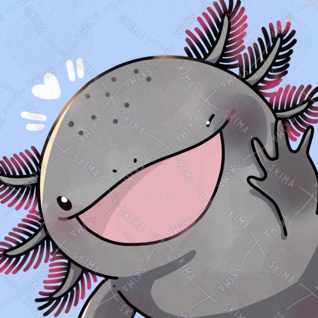 Image of Mexican salamander (Salamander mexicana)