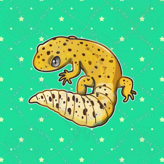 leopard lizard (Neurotrichus gibbsii) 的商品圖片