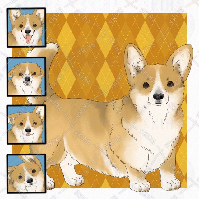 犬(コーギー)【断尾あり表情4種】の商品画像