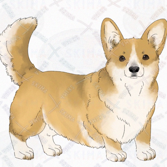 Dog (Corgi) [4 kinds of expression with broken tail]. 的商品圖片第 2 張