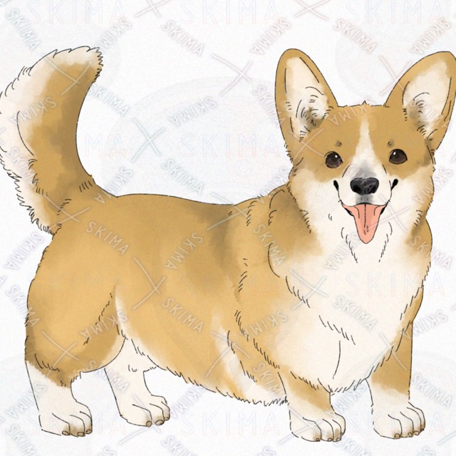 Dog (Corgi) [4 kinds of expression with broken tail]. 的商品圖片第 3 張