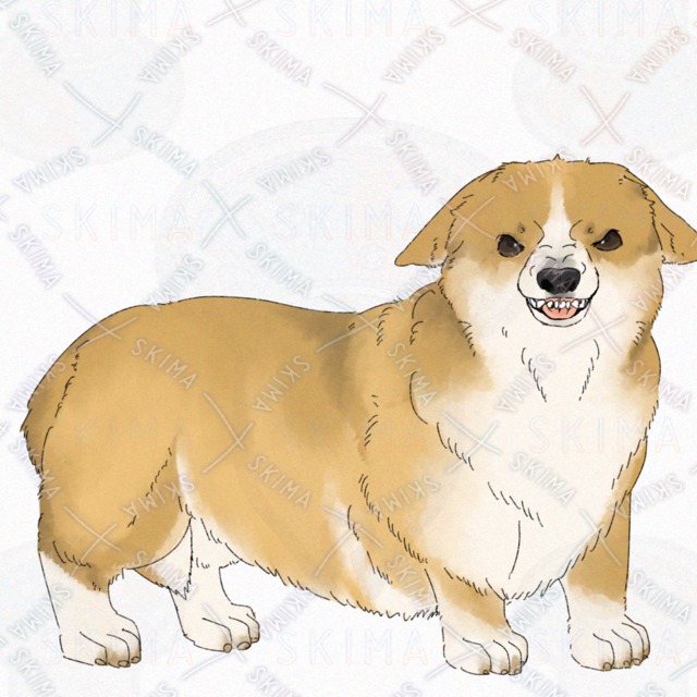 Dog (Corgi) [4 kinds of expression with broken tail]. 的商品圖片第 4 張