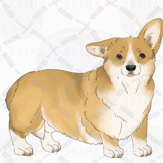 Dog (Corgi) [4 kinds of expression with broken tail]. 的商品圖片第 5 張