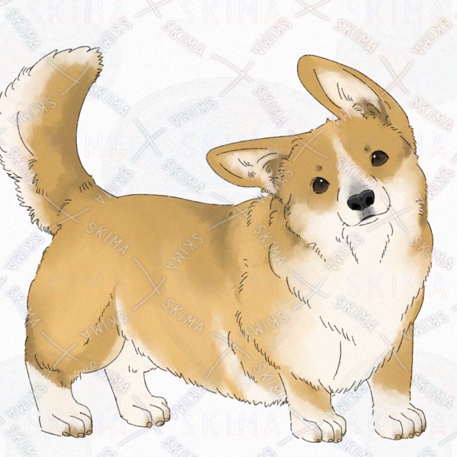 Dog (Corgi) [4 kinds of expression with broken tail]. 的商品圖片第 6 張
