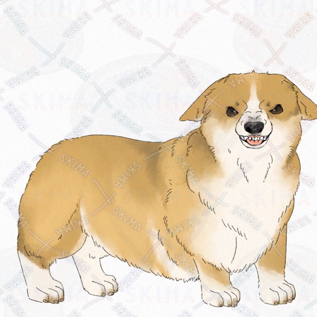 Dog (Corgi) [4 kinds of expression with broken tail]. 的商品圖片第 9 張