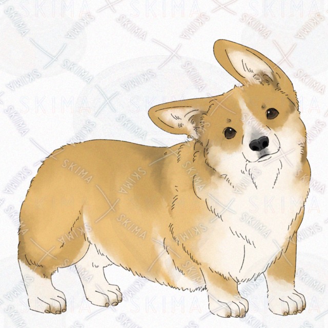 Dog (Corgi) [4 kinds of expression with broken tail]. 的商品圖片第 11 張