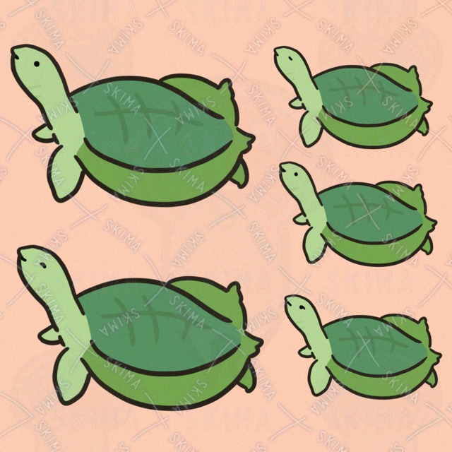 Image of Sapporo Suppon (5 types of expressions)