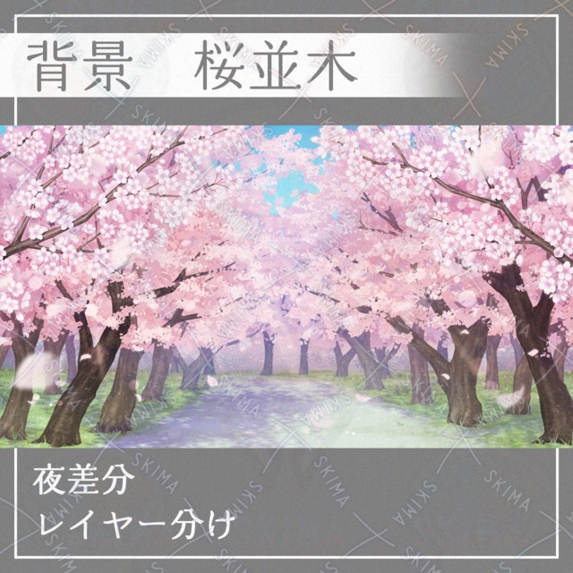 배경】벚나무 가로수+야간차분 상품 이미지