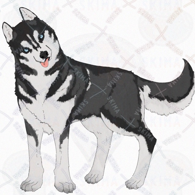 Siberian Husky Dog – 4 Expressions 的商品圖片第 6 張
