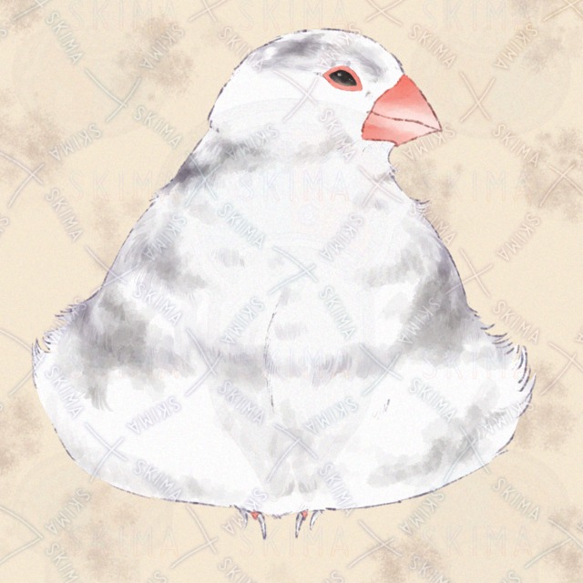 Image of Spotted Budgerigar SNS Icon