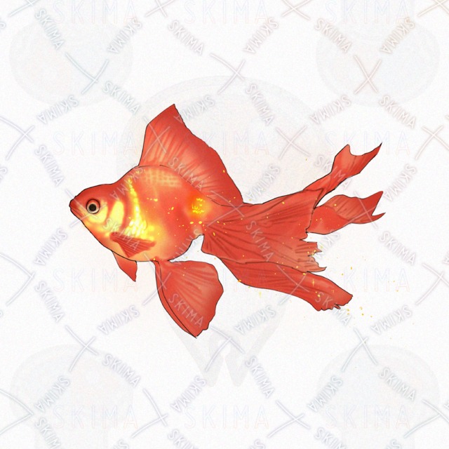 Image 2 of Goldfish.