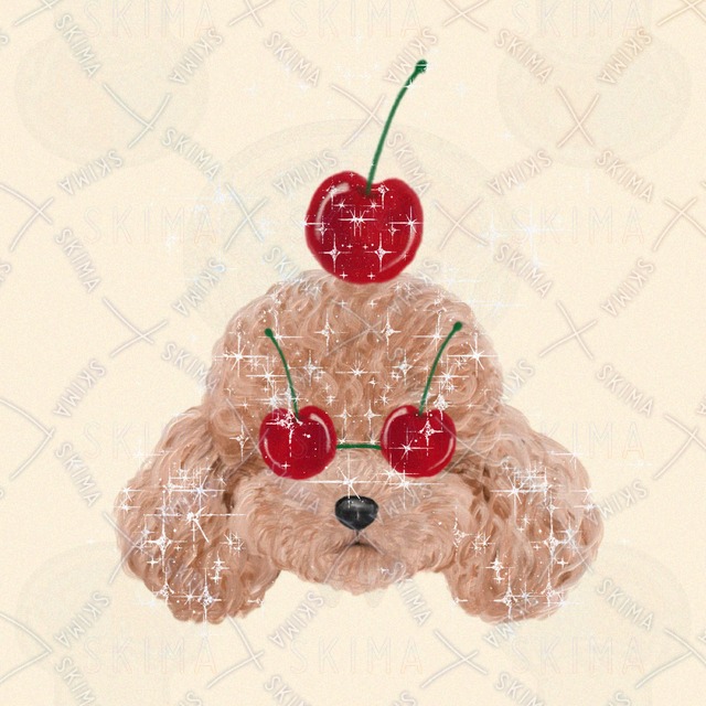 토이 푸들 [2종 상품 이미지