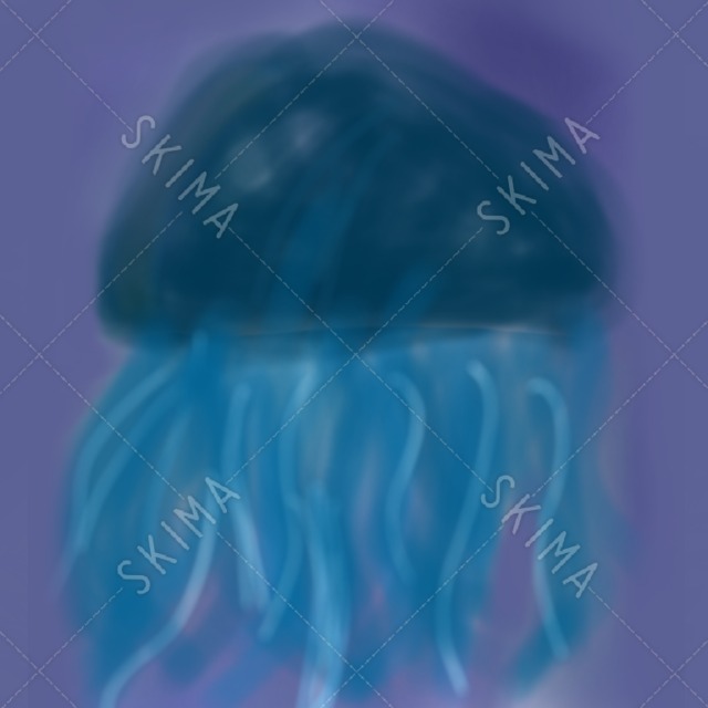 海月