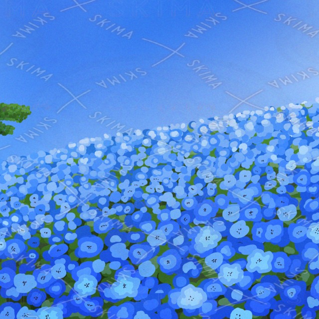 ネモフィラの花畑の商品画像