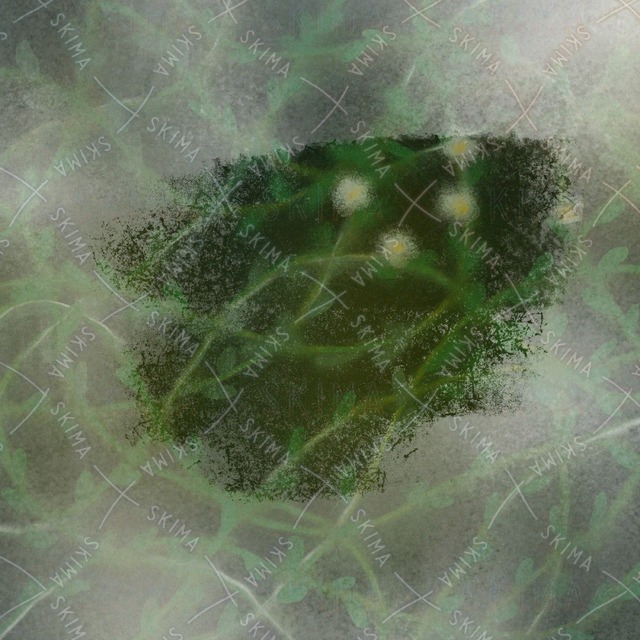 窓の外の商品画像