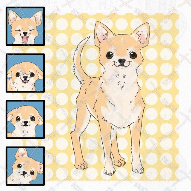 Chihuahua Dog Pack (4 Expressions) 的商品圖片
